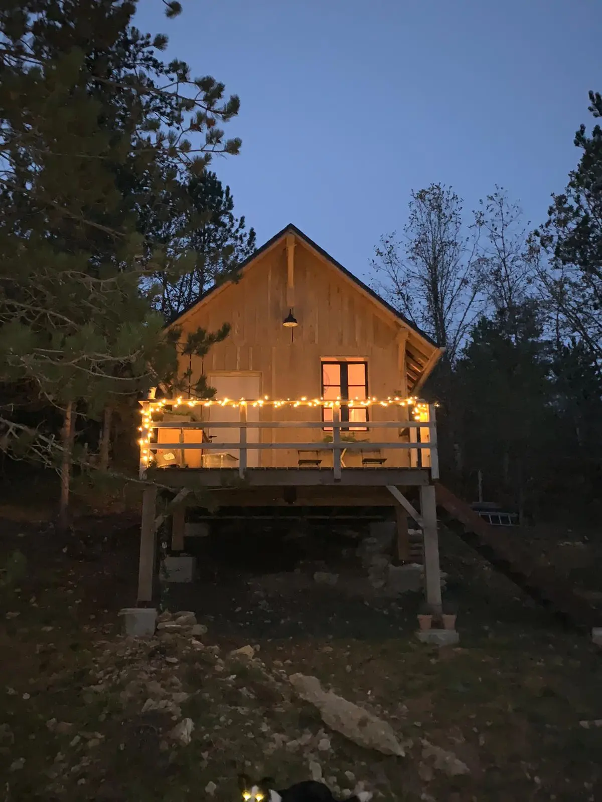 Cabane des Brandes à Antonne-et-Trigonant, photo 3