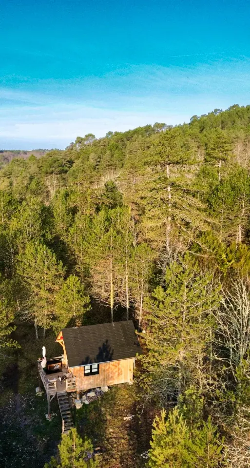 Cabane des Brandes à Antonne-et-Trigonant, photo 5
