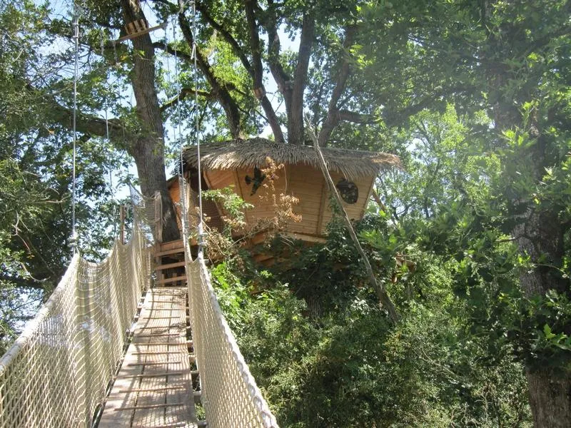 Cabane des Buis, cabane dans les arbres à Magné