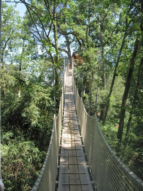 Cabane des Buis à Magné, photo 3