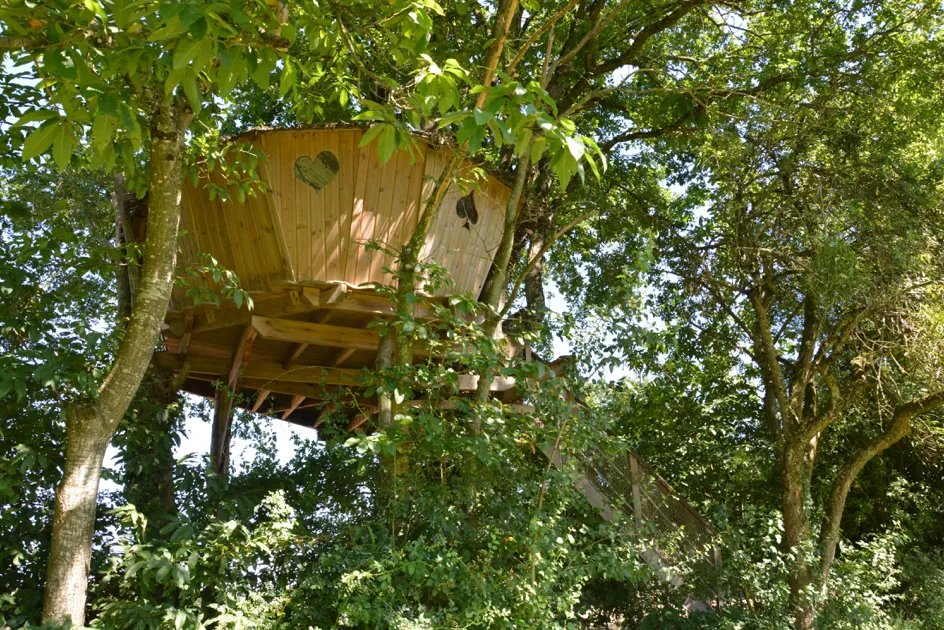 Cabane des Cartes, cabane dans les arbres à La Baconnière