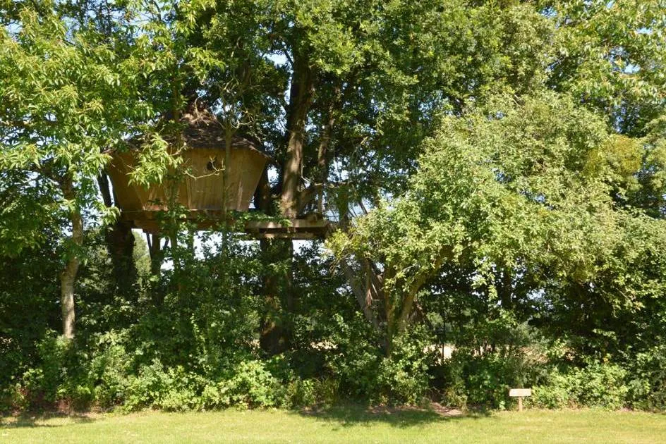 Cabane des Cartes à La Baconnière, photo 4