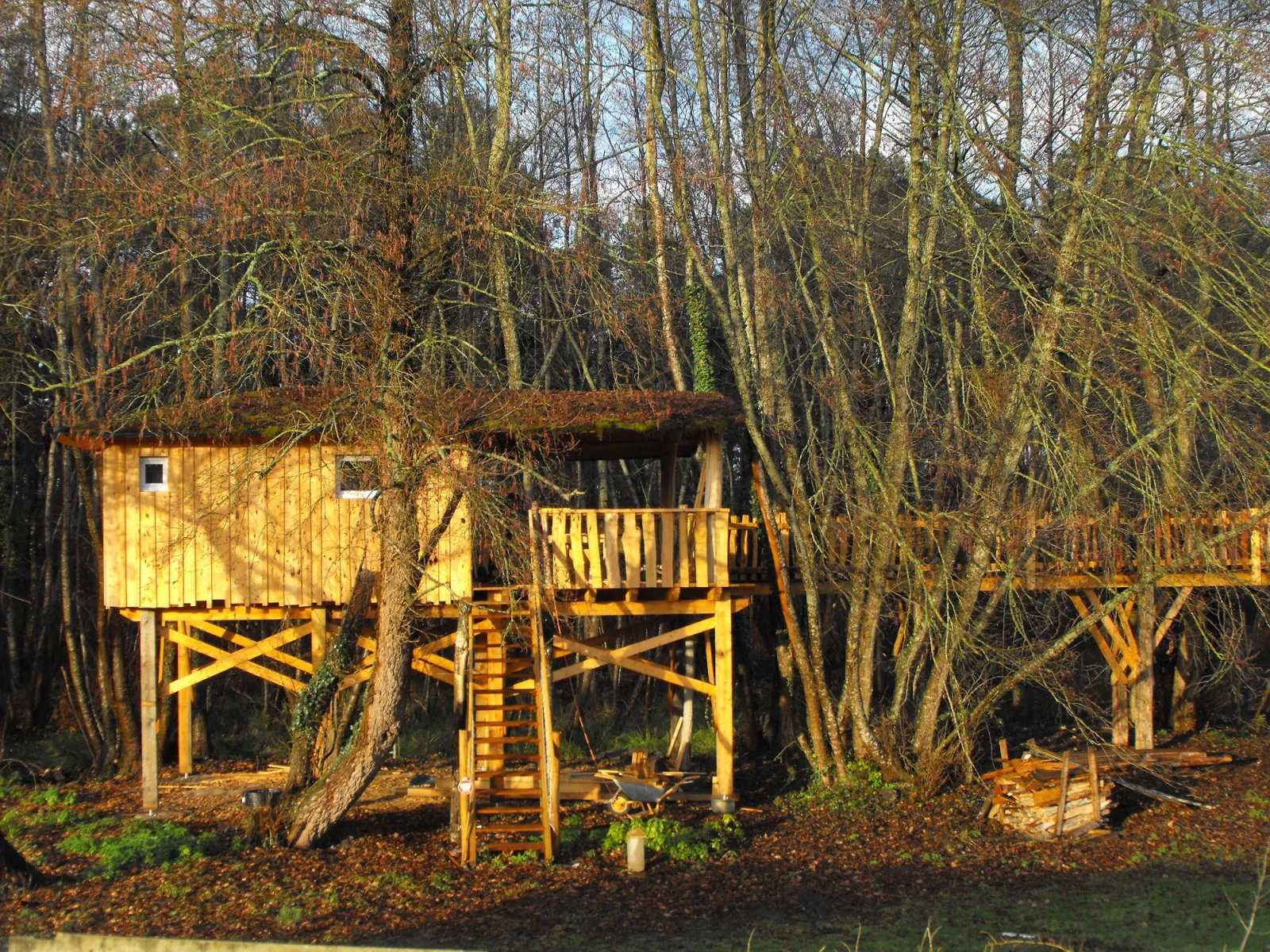 Cabane des Cerfs, cabane dans les arbres à Allons