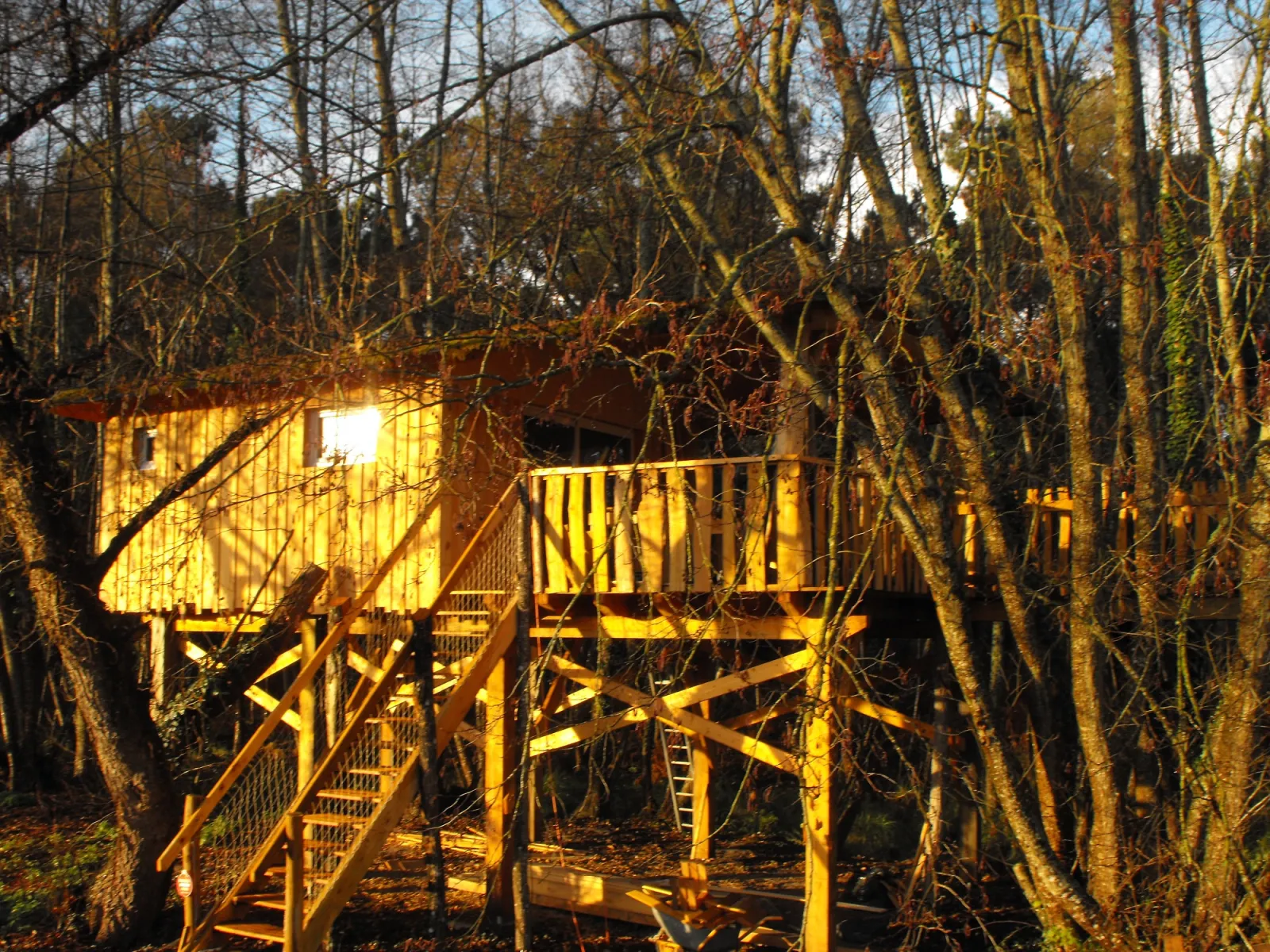 Cabane des Cerfs à Allons, photo 2