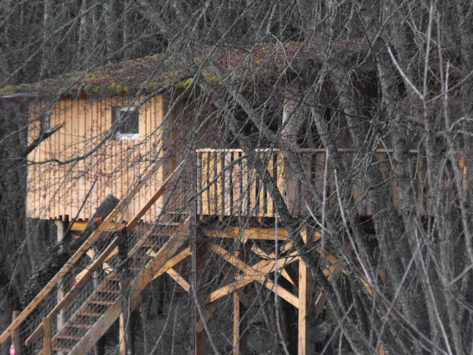 Cabane des Cerfs à Allons, photo 4