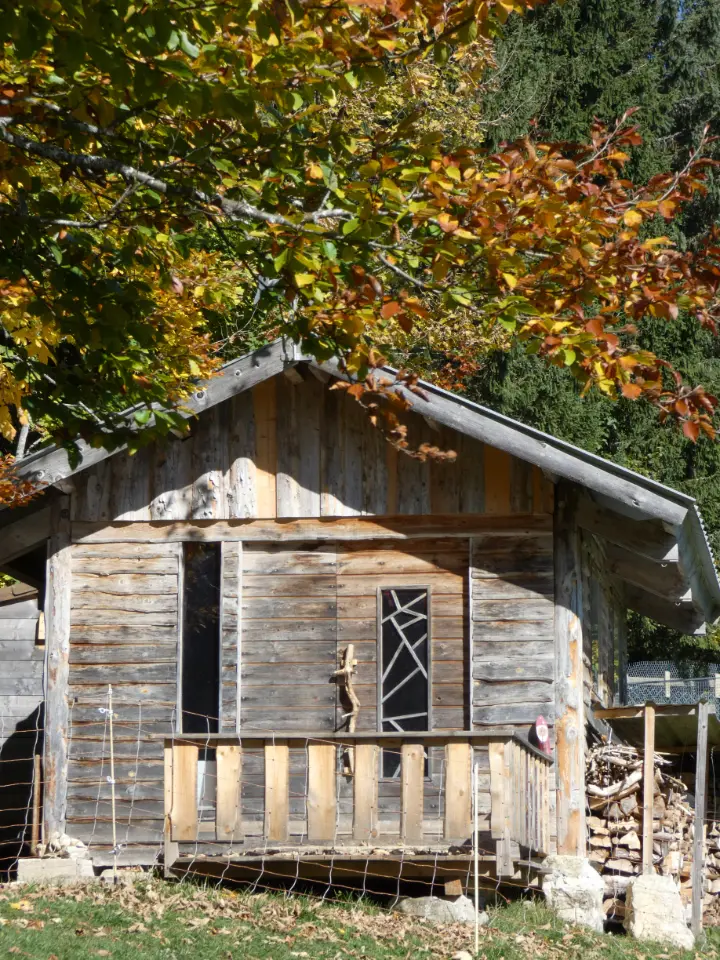 Cabane des chiens de traîneau à Lamoura, photo 3