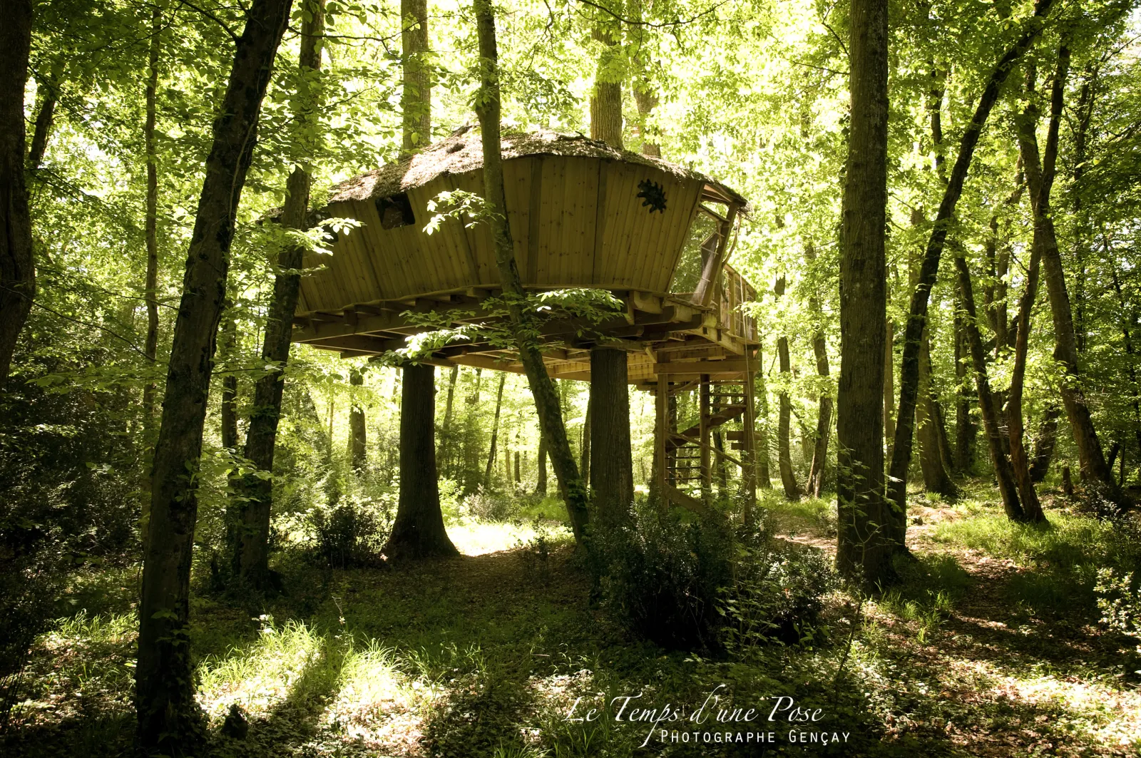 Cabane des Chimpanzés, cabane dans les arbres à Magné