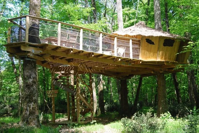 Cabane des Chimpanzés à Magné, photo 2