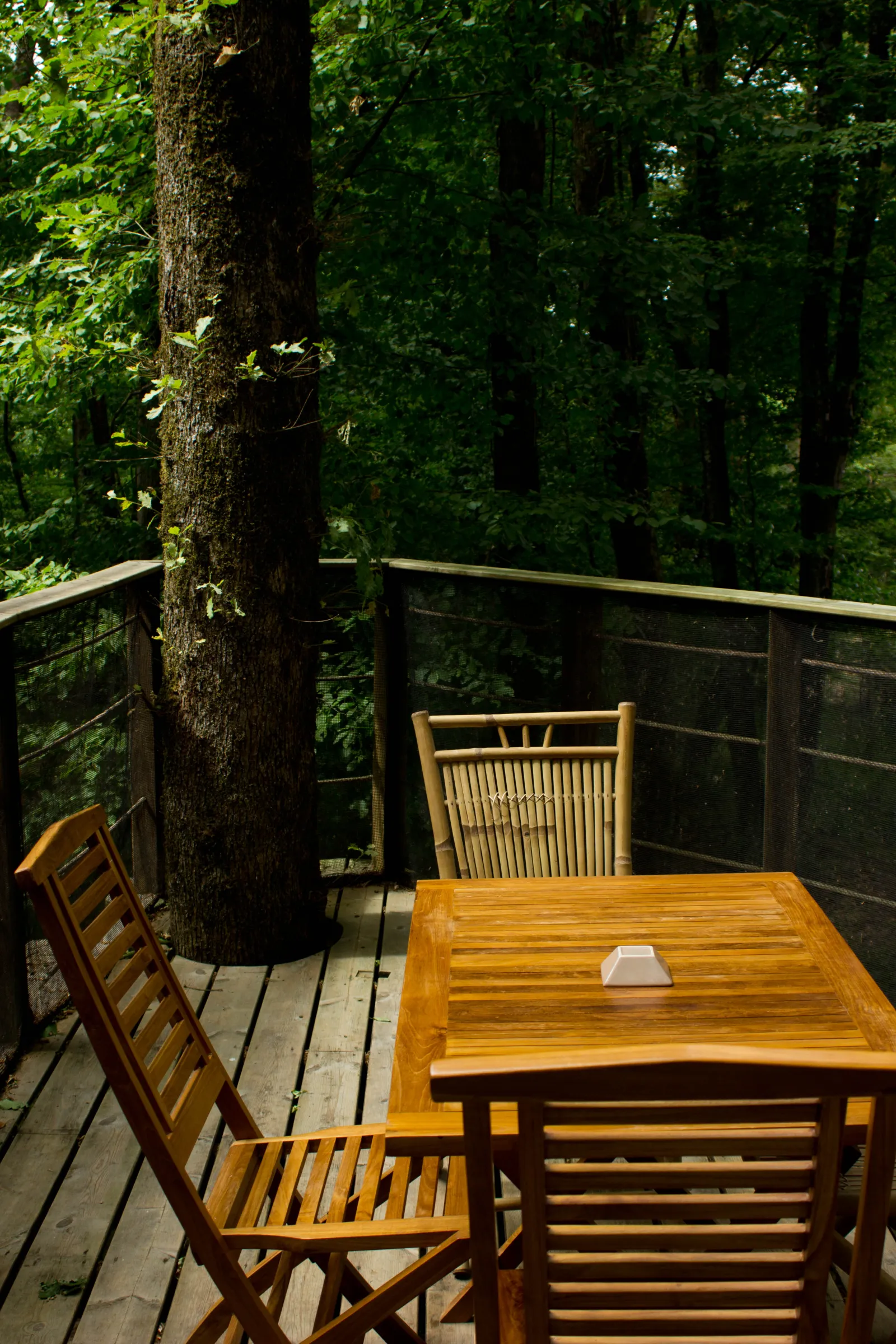 Cabane des Chimpanzés à Magné, photo 4