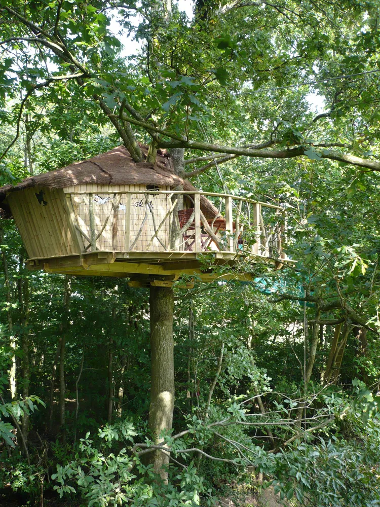 Cabane des Elfes, cabane dans les arbres à La Chapelle-Chaussée