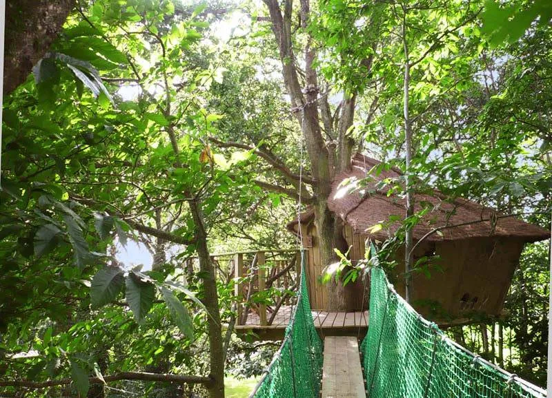 Cabane des Elfes à La Chapelle-Chaussée, photo 2