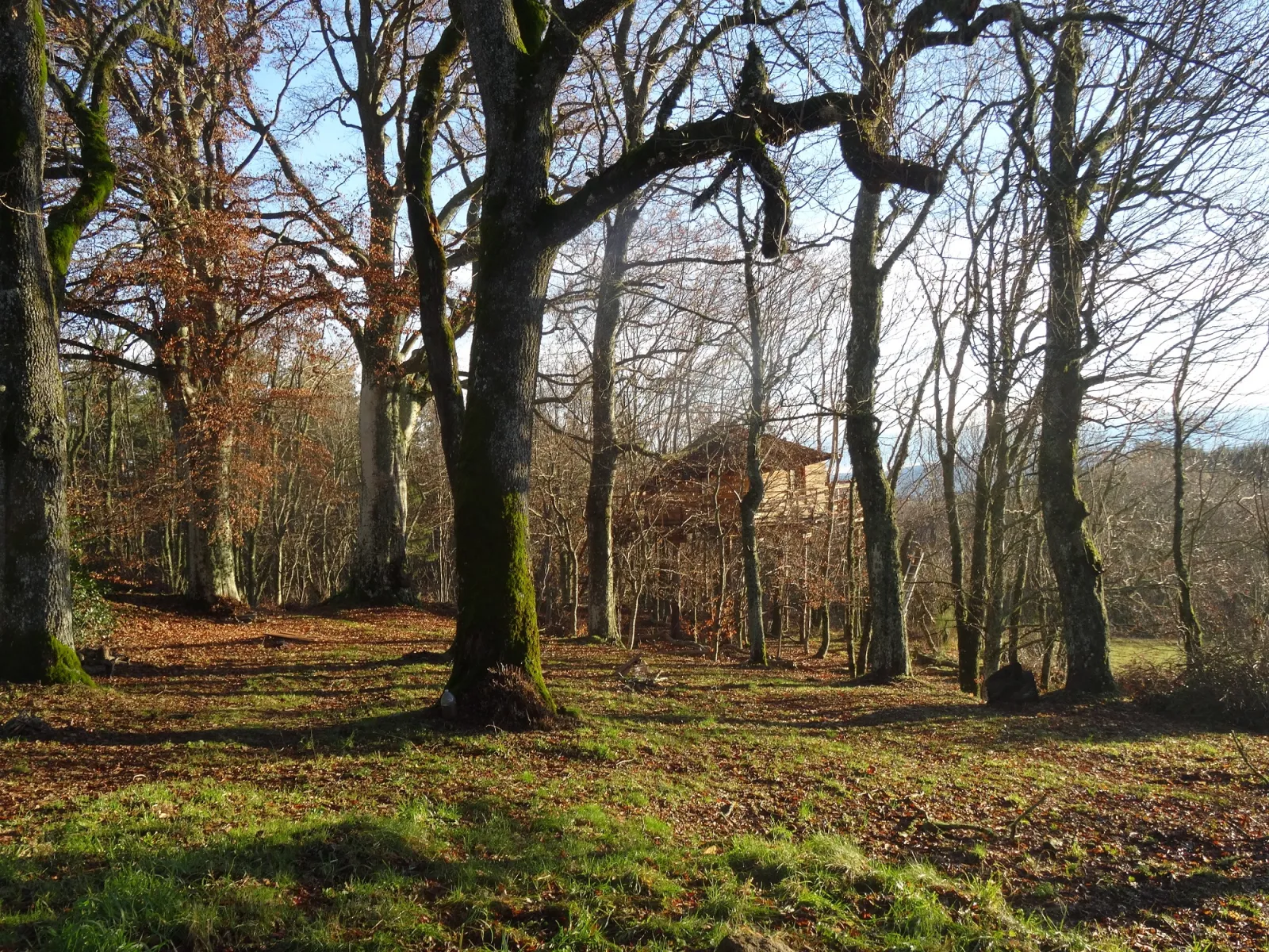 Cabane des Fayards à Saint-Agrève, photo 2