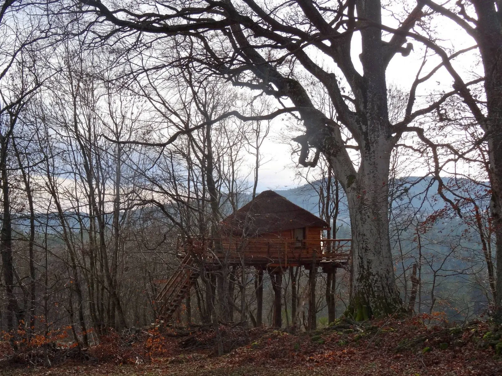 Cabane des Fayards à Saint-Agrève, photo 3