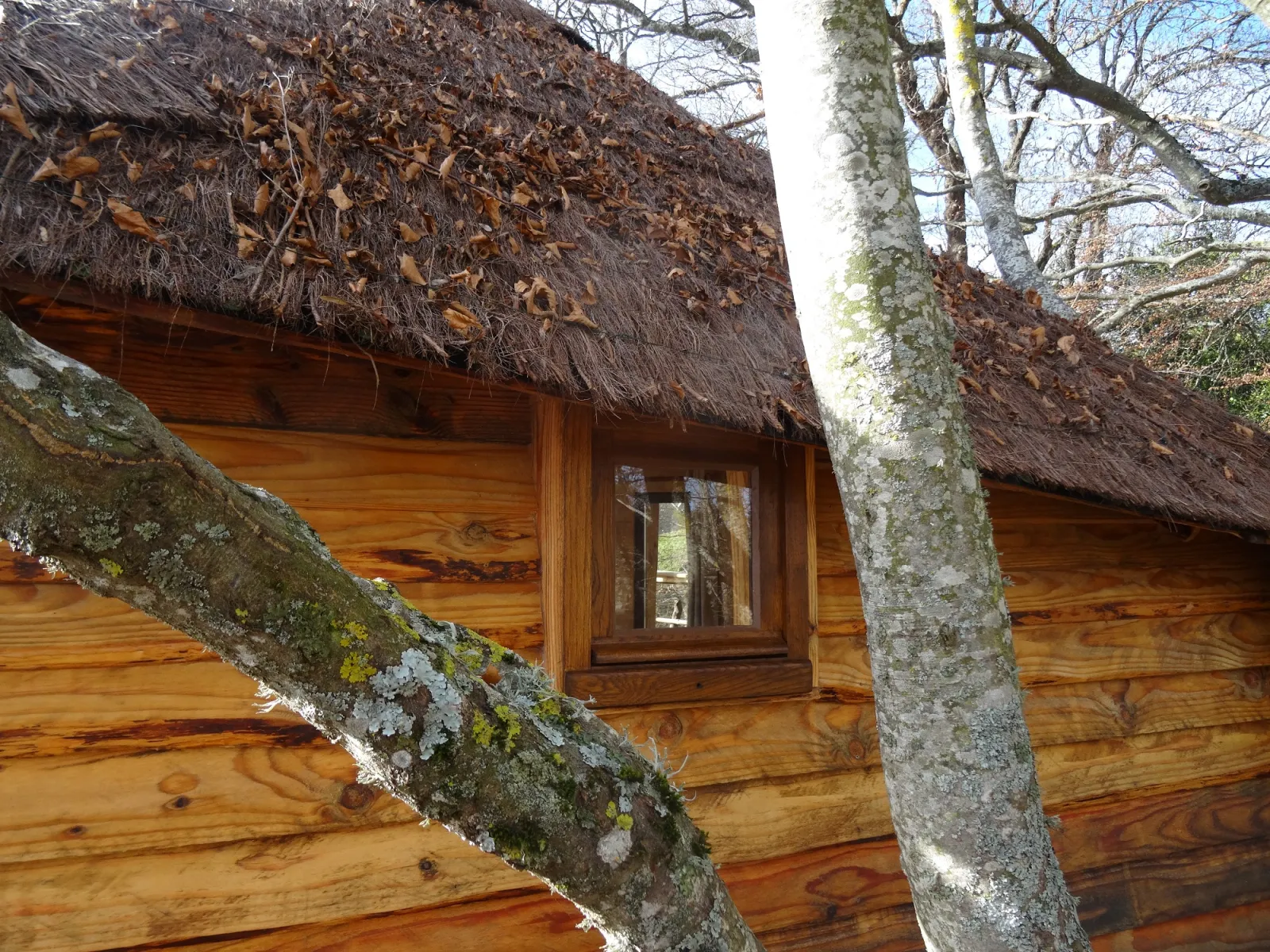 Cabane des Fayards à Saint-Agrève, photo 4
