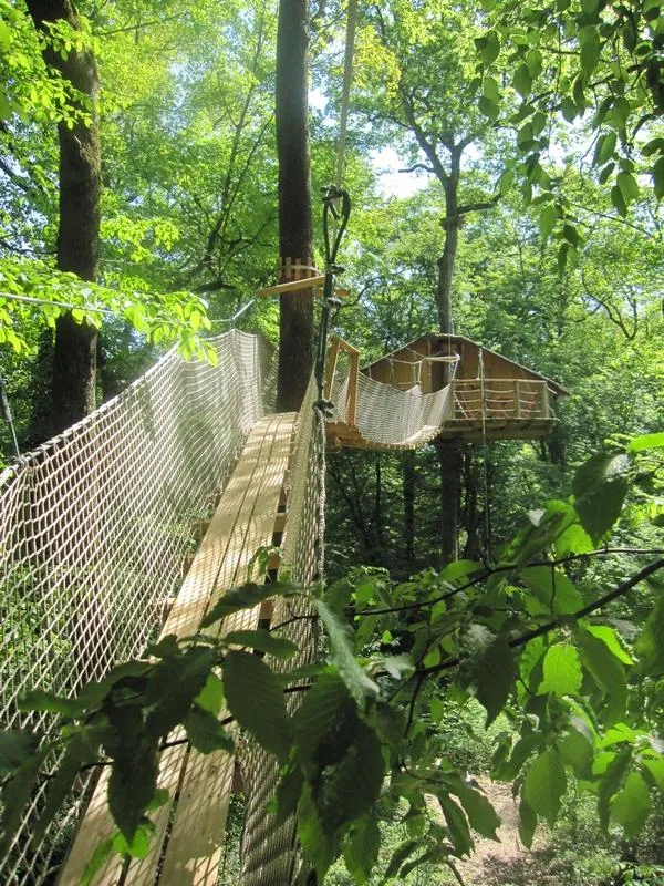 Cabane des Gibbons à Magné, photo 2