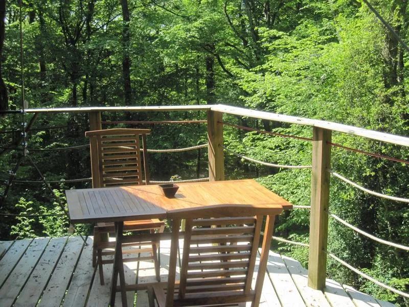 Cabane des Gibbons à Magné, photo 3