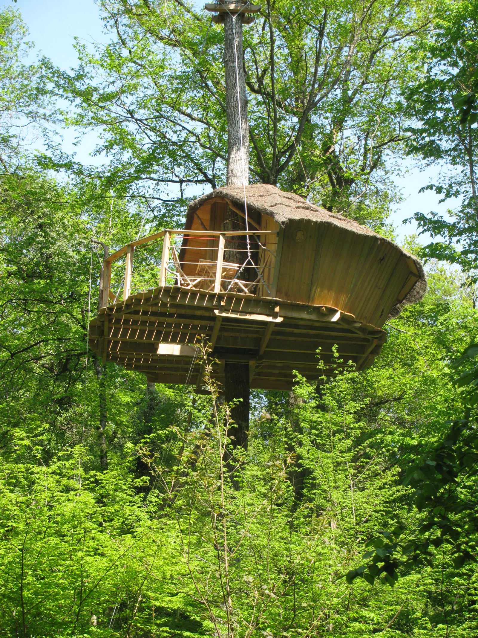 Cabane des Gibbons à Magné, photo 5