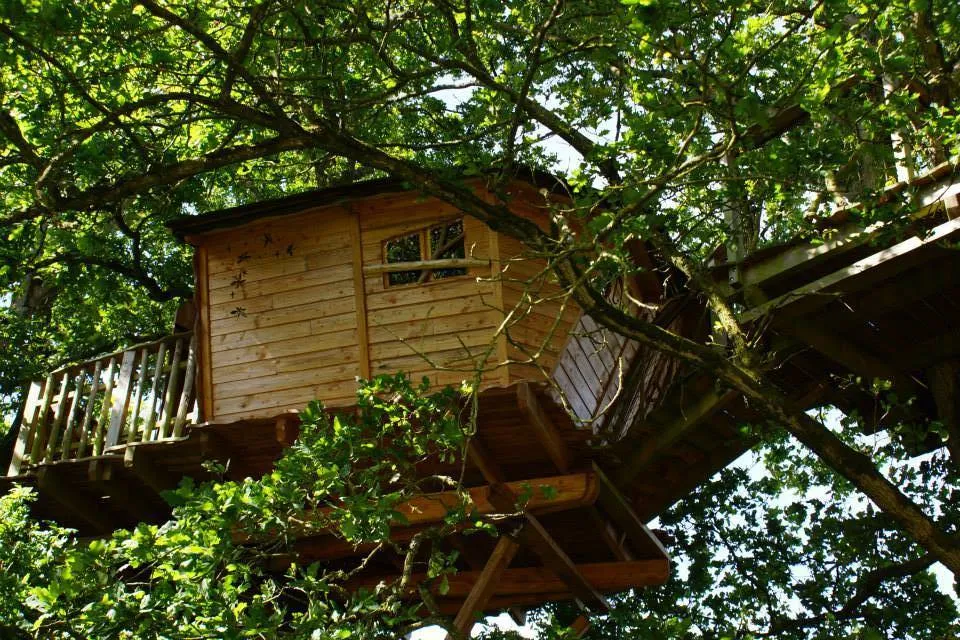 Cabane des Lucioles, cabane dans les arbres à La Chapelle-Chaussée