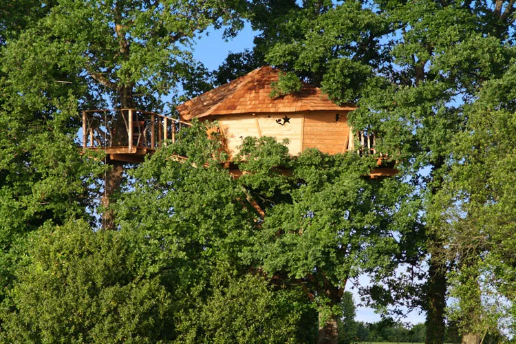 Cabane des Lucioles à La Chapelle-Chaussée, photo 2
