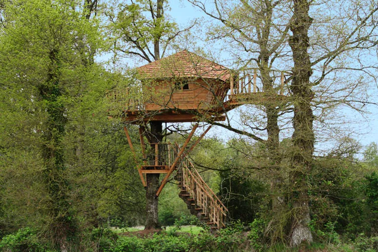 Cabane des Lucioles à La Chapelle-Chaussée, photo 4