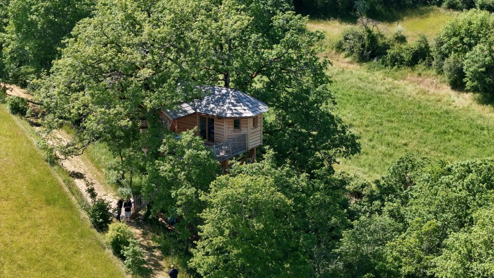 Cabane des Nids en Périgord, cabane dans les arbres à Saint-Geniès