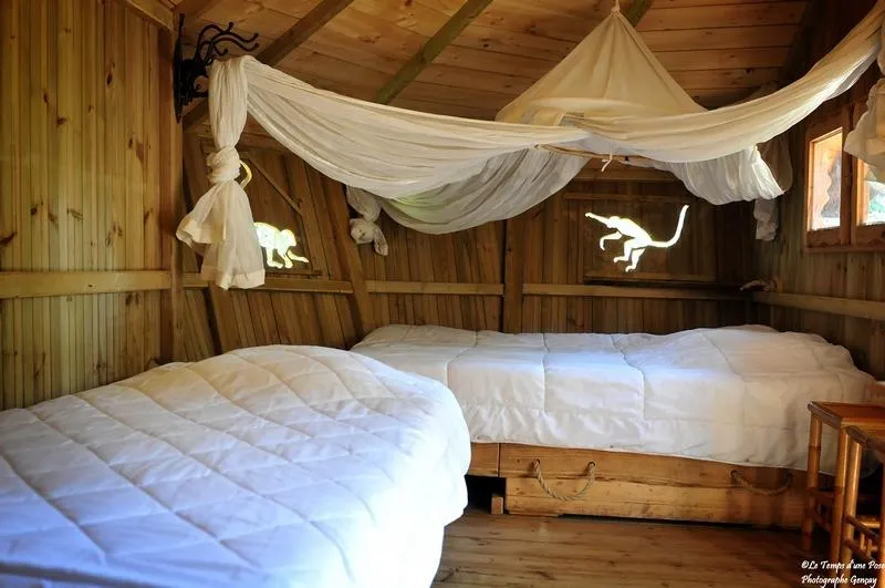 Cabane des Ouistitis à Magné, photo 5