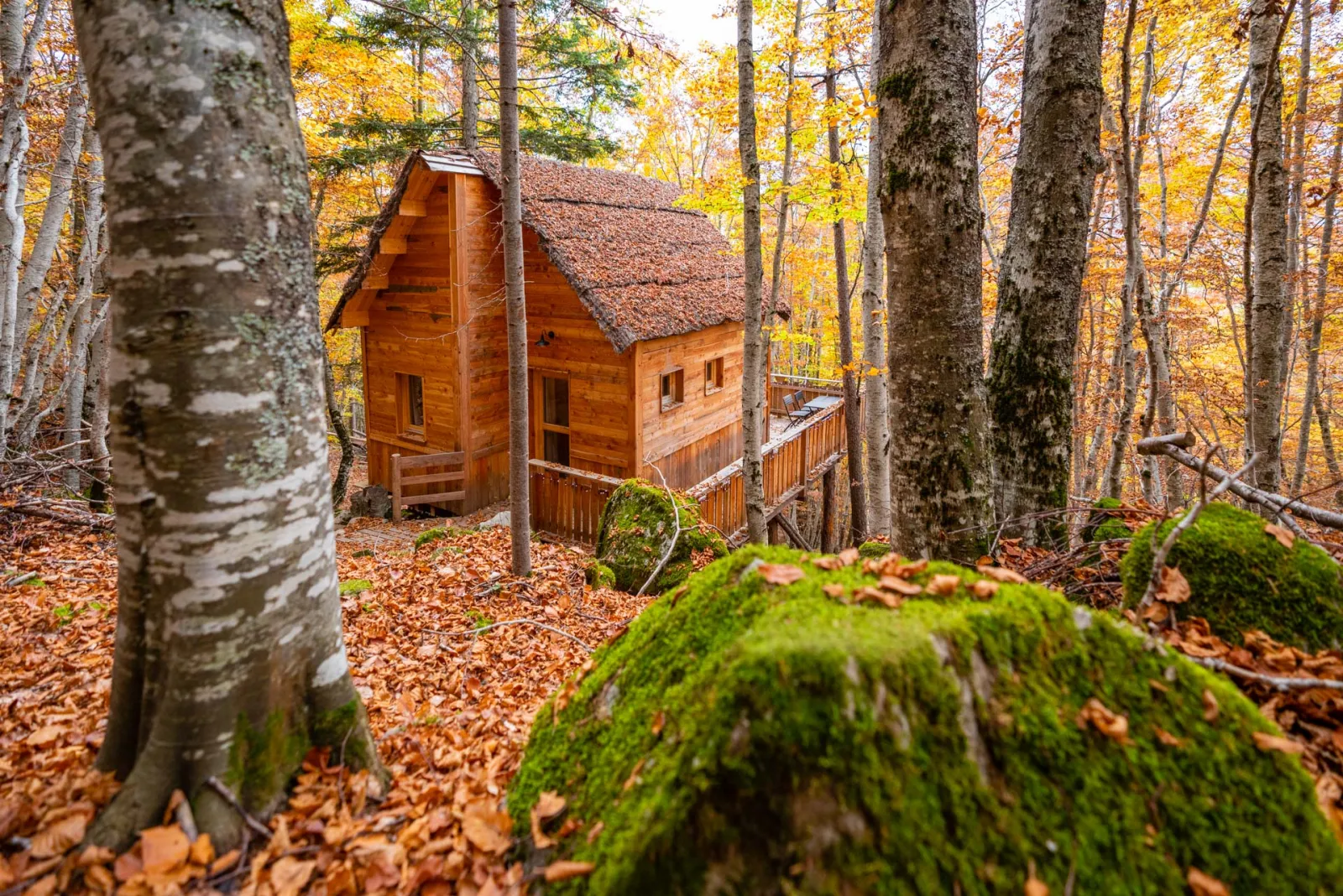 Cabane des Sylphes, cabane sur pilotis à Saint-Léger-les-Mélèzes