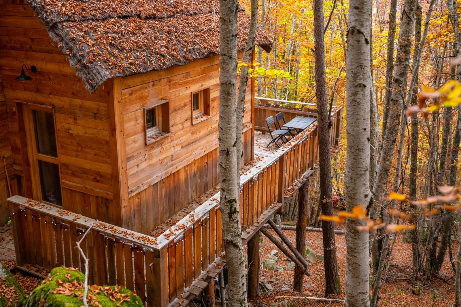 Cabane des Sylphes à Saint-Léger-les-Mélèzes, photo 3