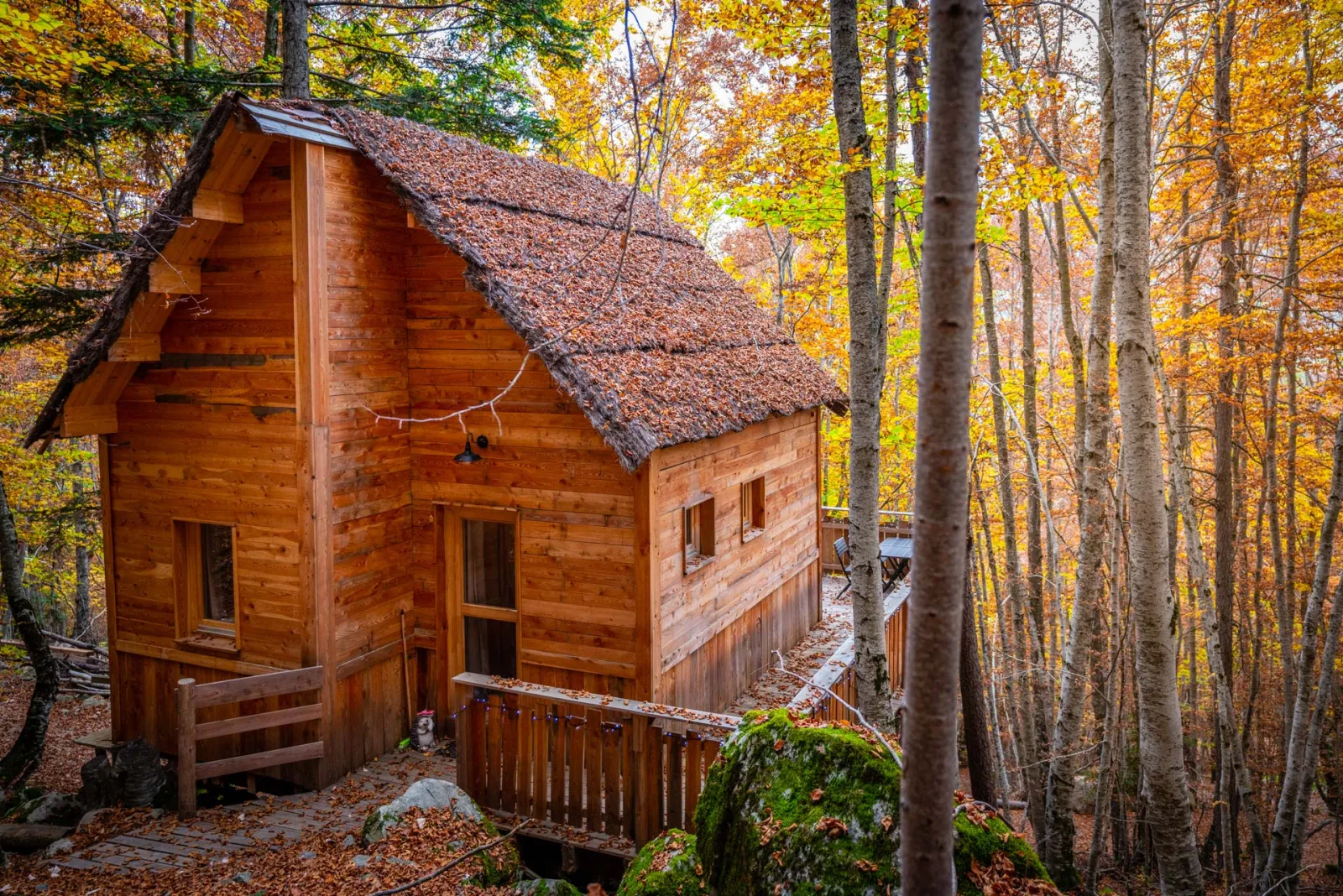 Cabane des Sylphes à Saint-Léger-les-Mélèzes, photo 4