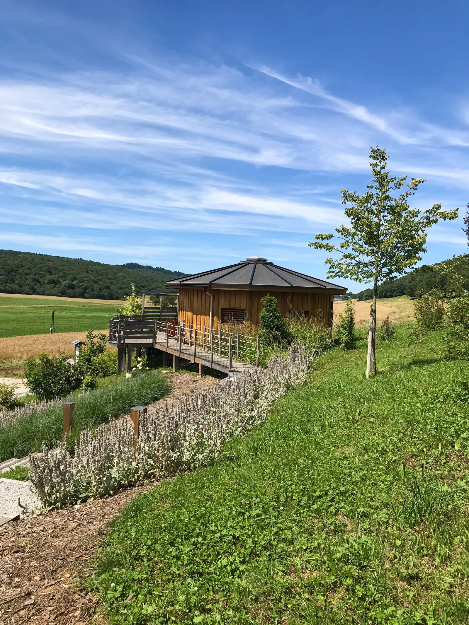 Cabane Douglas à Rothonay, photo 4