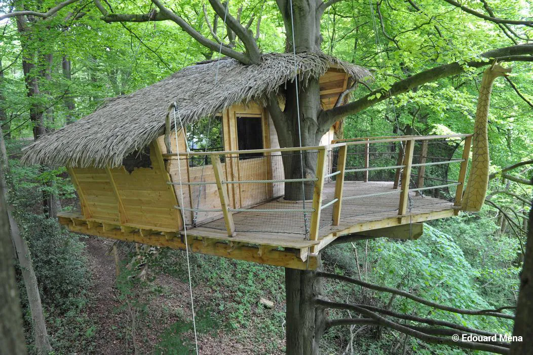 Cabane Drakkar, cabane dans les arbres à Saint-Germain-des-Essourts