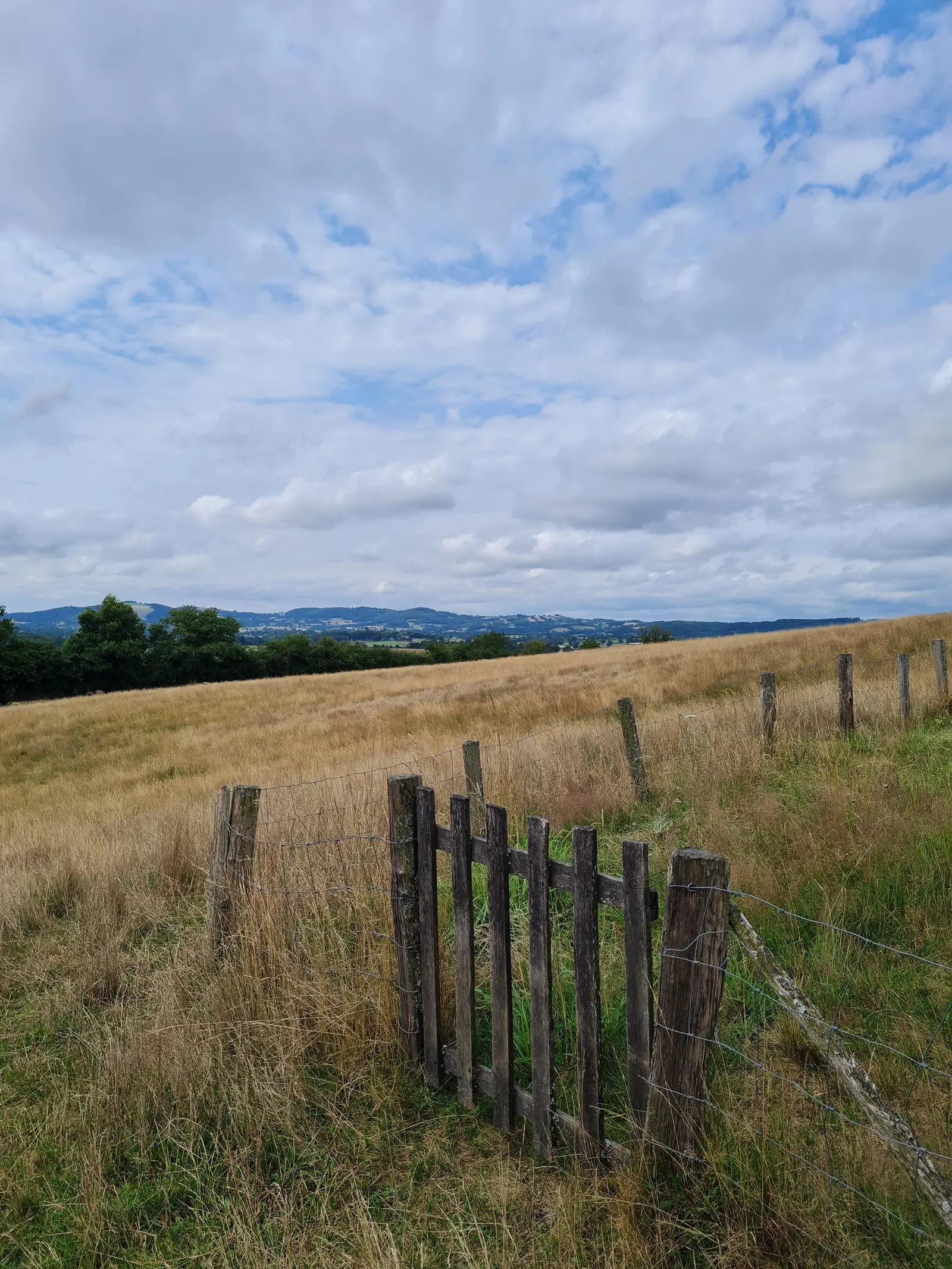 Cabane du Berger à Saint-Didier-sur-Arroux, photo 5