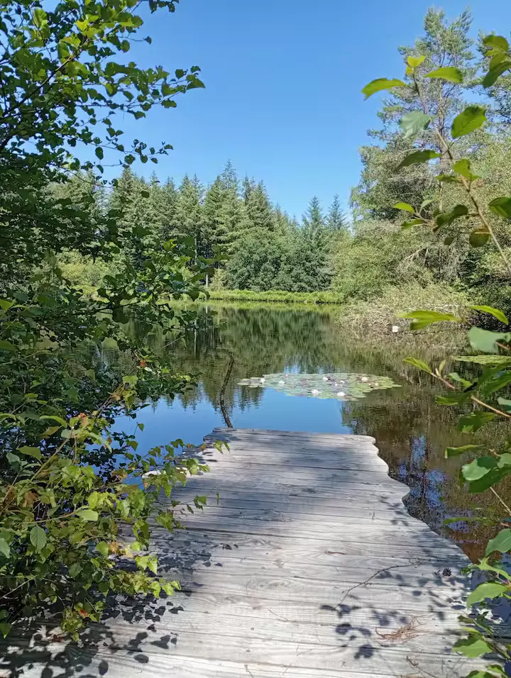 Cabane du Bois des Nénuphars, cabane au sol à Clergoux