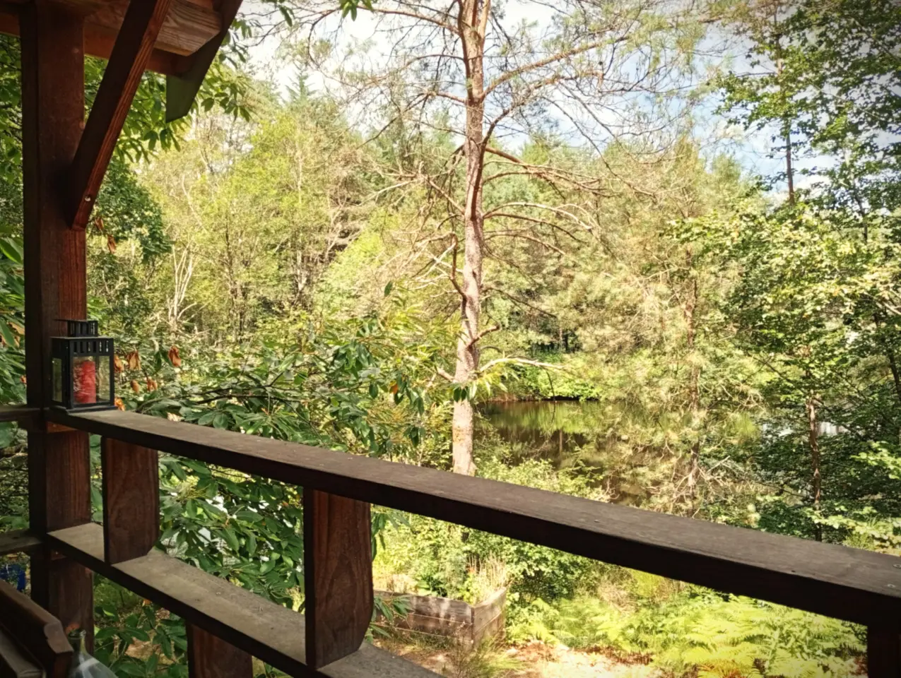 Cabane du Bois des Nénuphars à Clergoux, photo 5