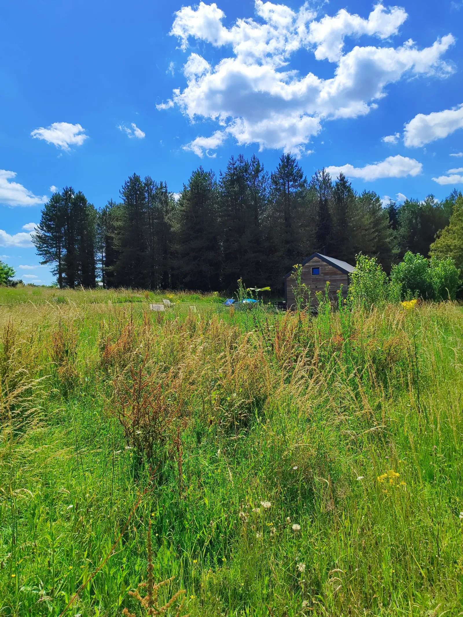 Cabane du Cerf à Le Controis-en-Sologne, photo 2