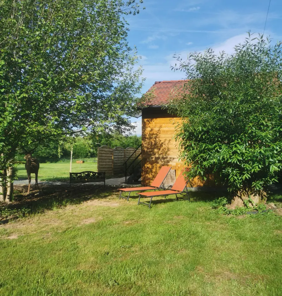 Cabane du Cerf à Saulcy-sur-Meurthe, photo 5