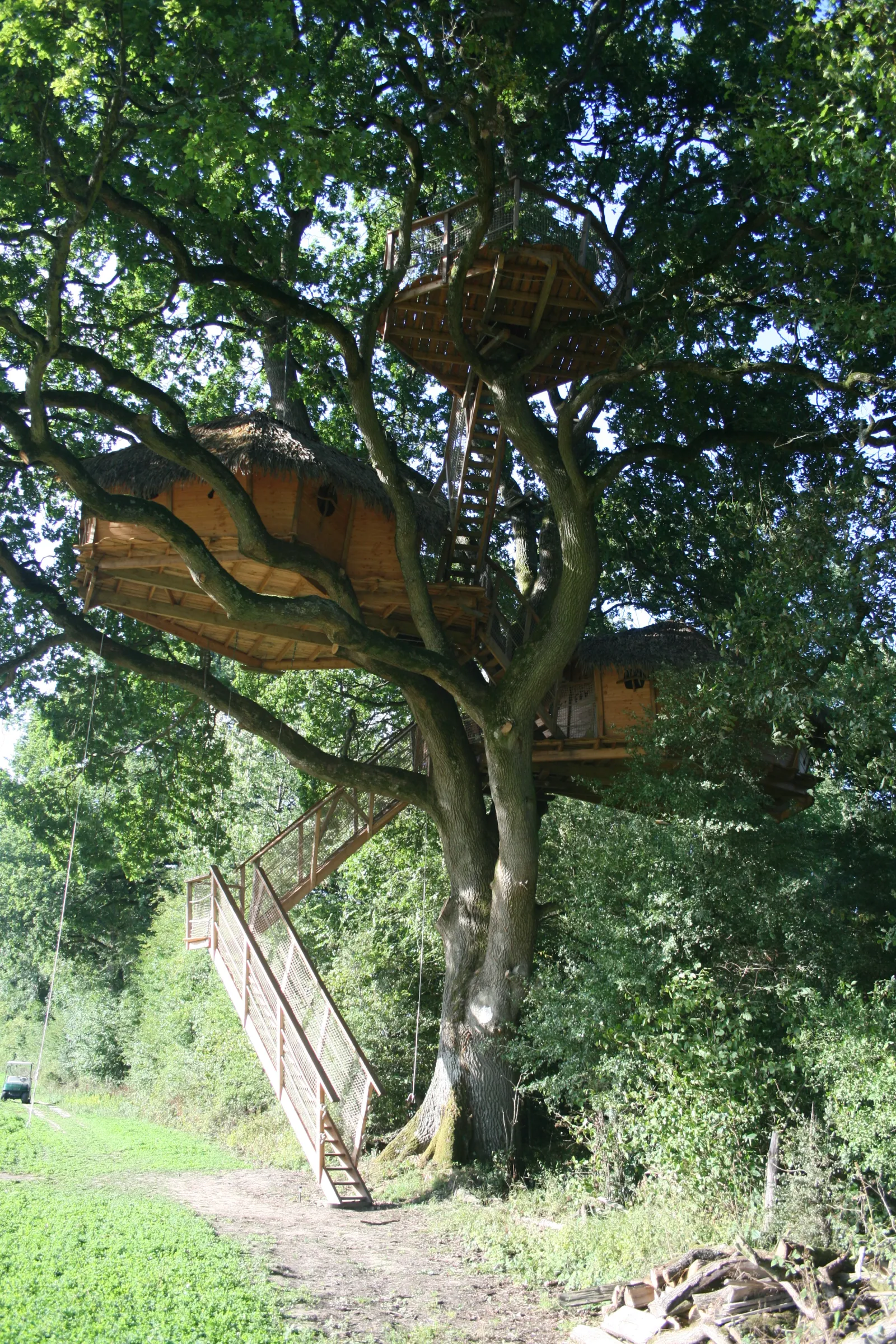 Cabane du Chêne fou à Longny les Villages, photo 4