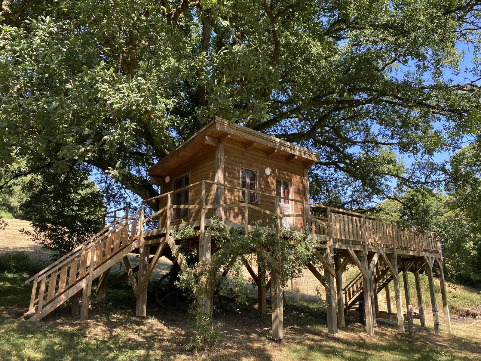 Cabane du chêne tricentenaire, cabane dans les arbres à Lamongerie