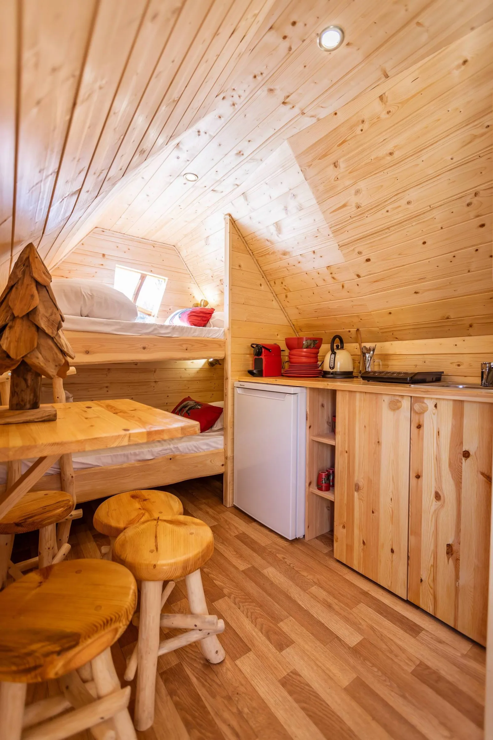Cabane du Cians à Péone, photo 3