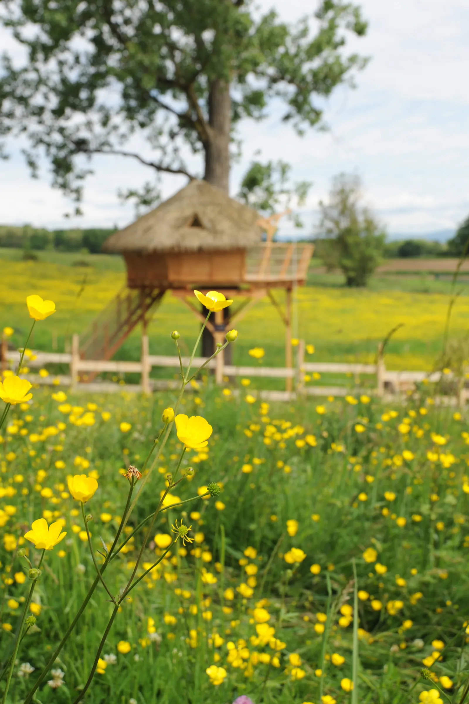 Cabane du Domaine de Suzel à Vignieu, photo 5