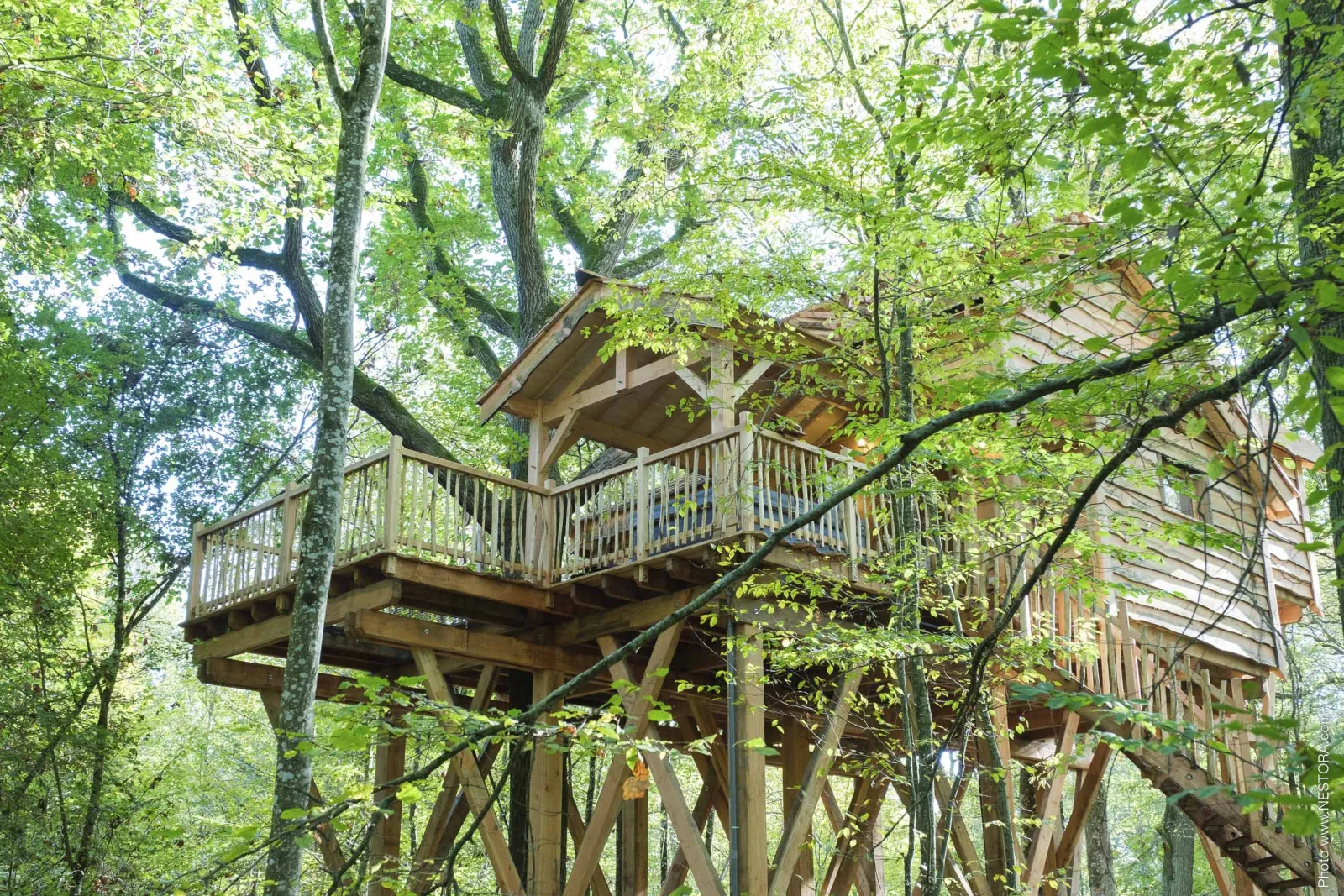 Cabane du Grand Chêne, cabane dans les arbres à La Bussière