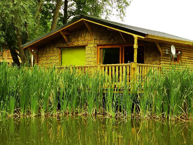 Cabane du Grizzli à Cessières-Suzy, photo 2