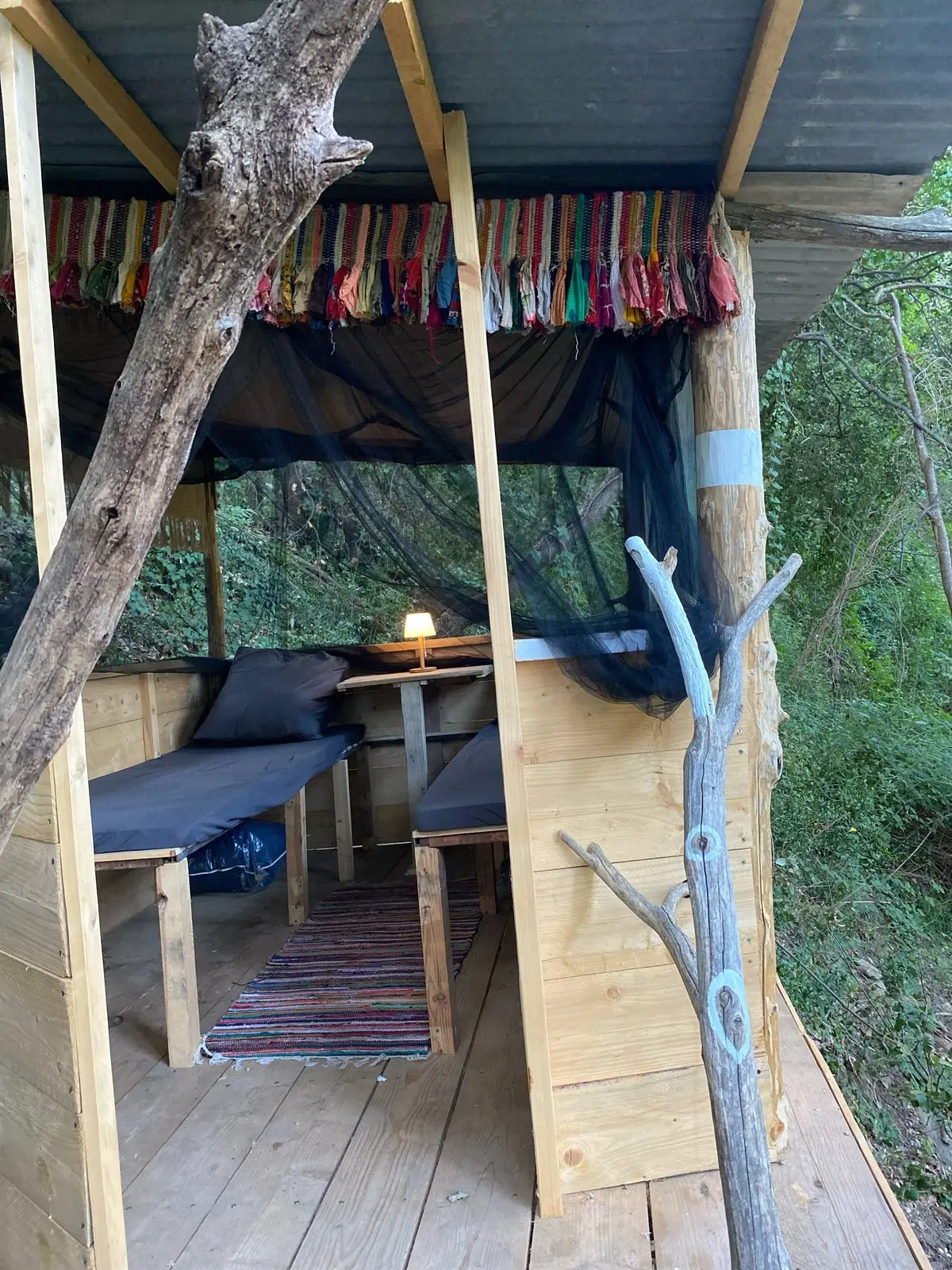 Cabane du jardin-forêt à Céret, photo 5