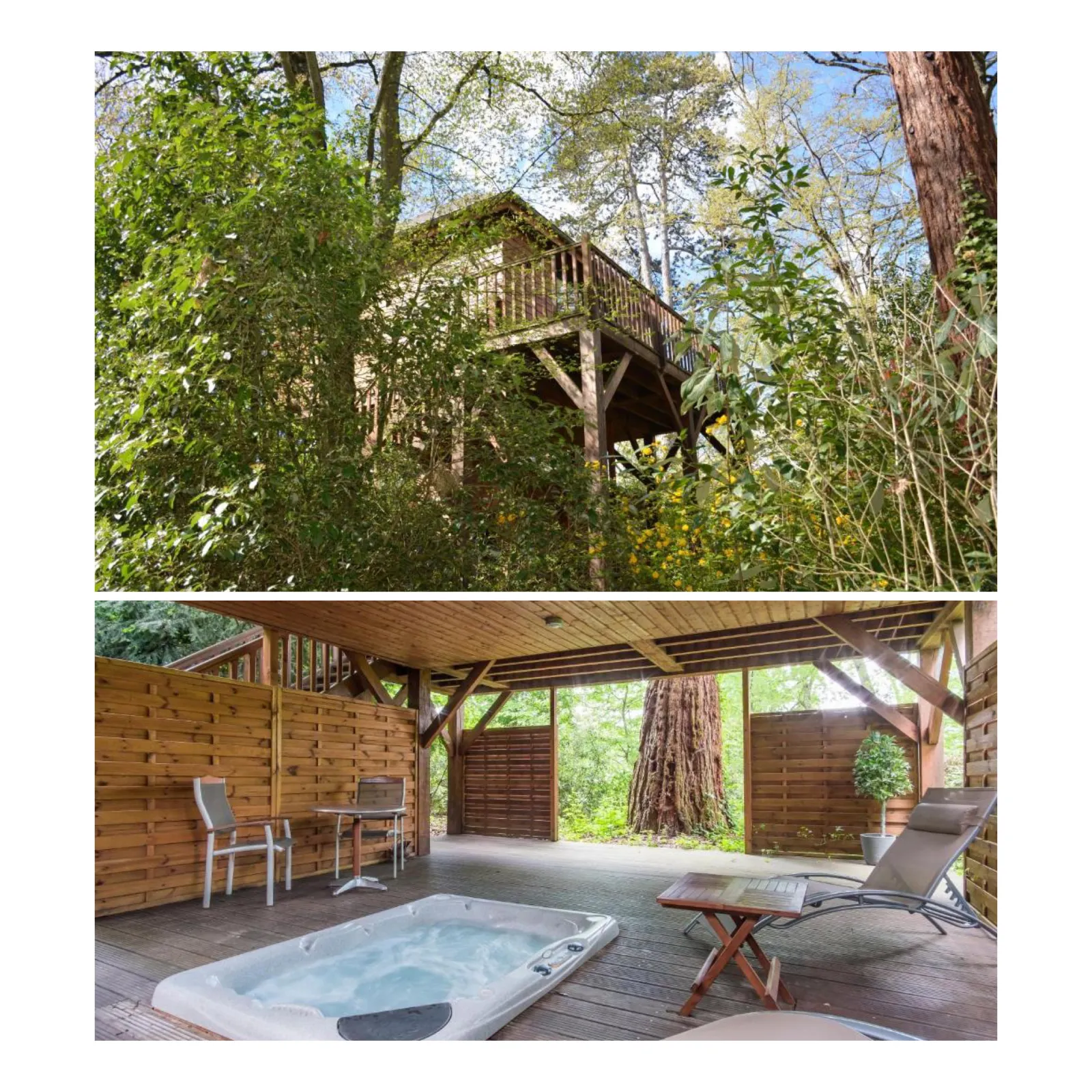 Cabane du Manoir du Parc à Amboise, photo 2