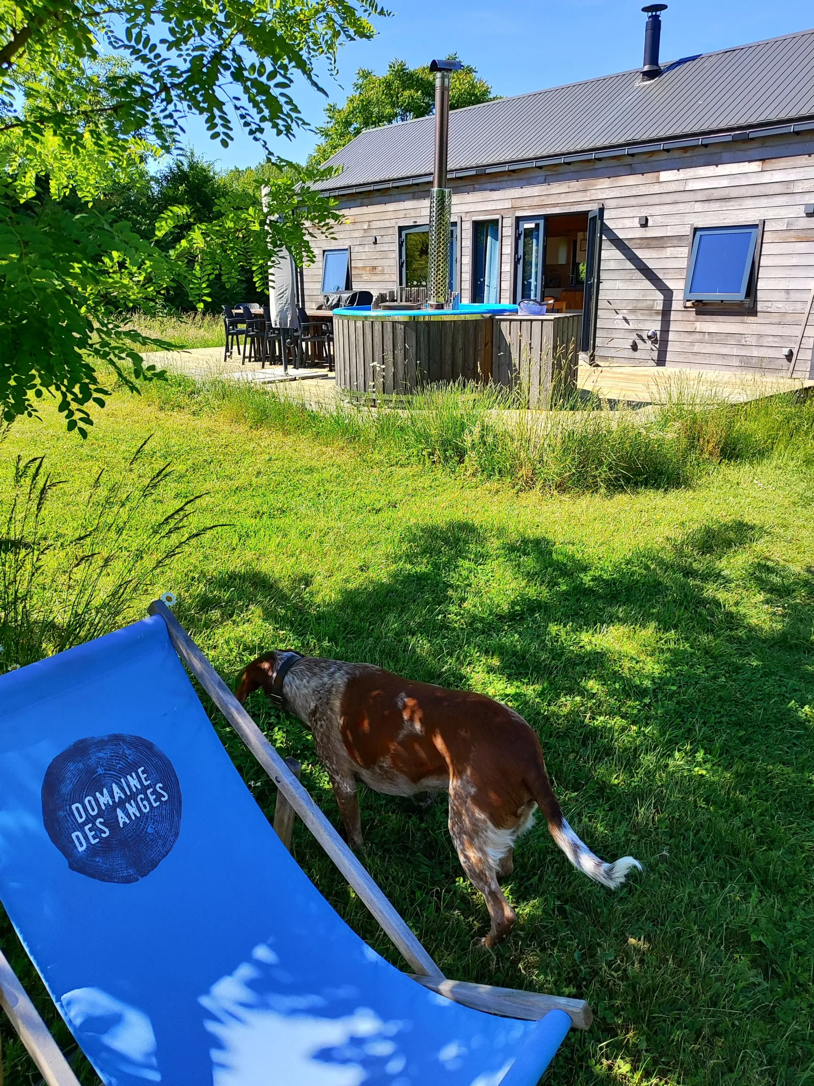 Cabane du Renard à Le Controis-en-Sologne, photo 2