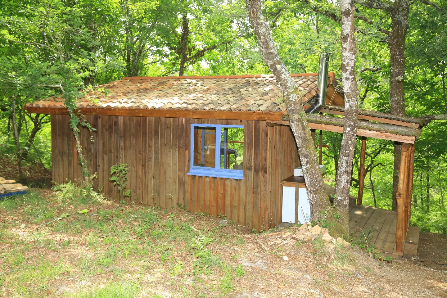 Cabane du Ruisseau de la Calette, cabane au sol à Belin-Béliet