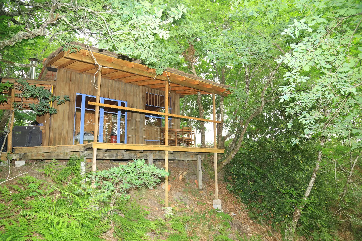Cabane du Ruisseau de la Calette à Belin-Béliet, photo 3