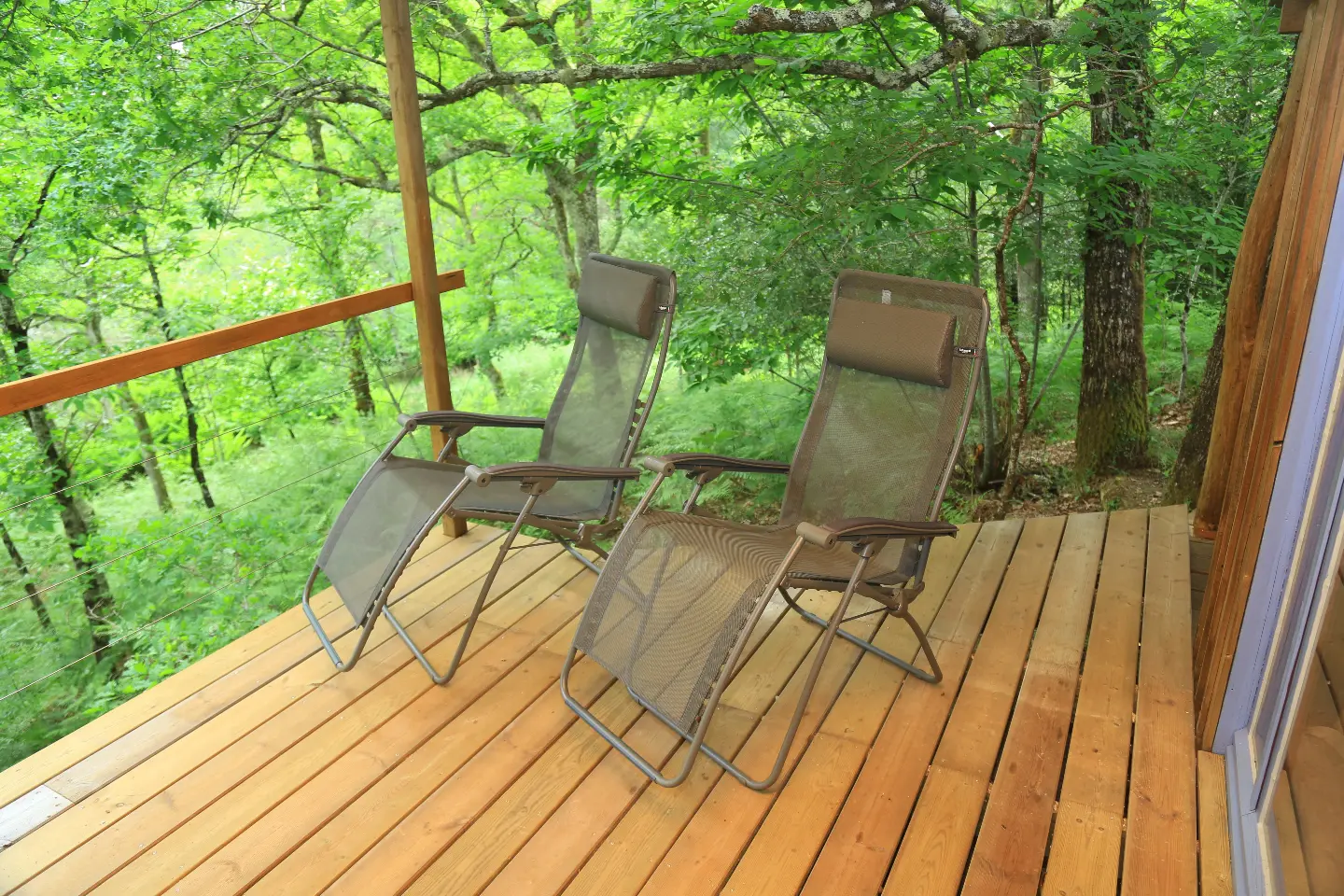 Cabane du Ruisseau de la Calette à Belin-Béliet, photo 4
