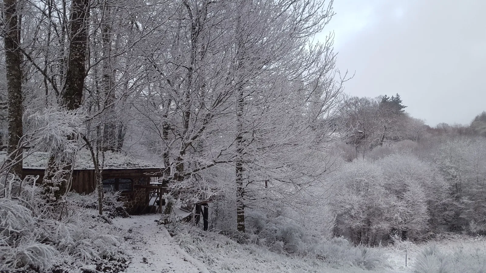 Cabane du Terrier à Sexcles, photo 3
