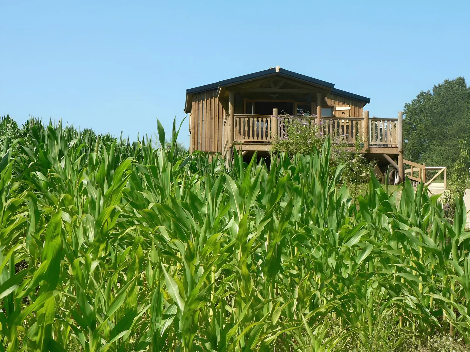 Cabane du Trappeur, cabane sur pilotis à Cessières-Suzy